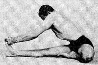 B. K. S. Iyengar: Hatha jóga és rádzsa jóga