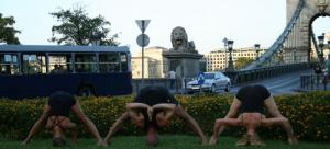 Iyengar Jóga Budapest 2012 by Lilla Szasz
